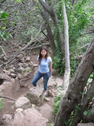 ������� ������� ����- 
