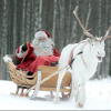 Рождественские фотографии — Рованиеми, Финляндия.