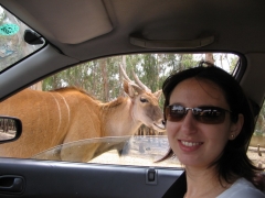 Safari Ramat-Gan 2