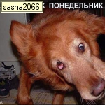 Одноклассники Нистранский sasha2066