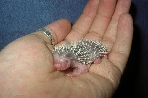 любимые картинки