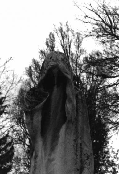 любимые картинки