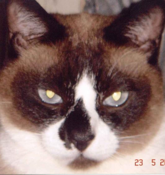 май 2005