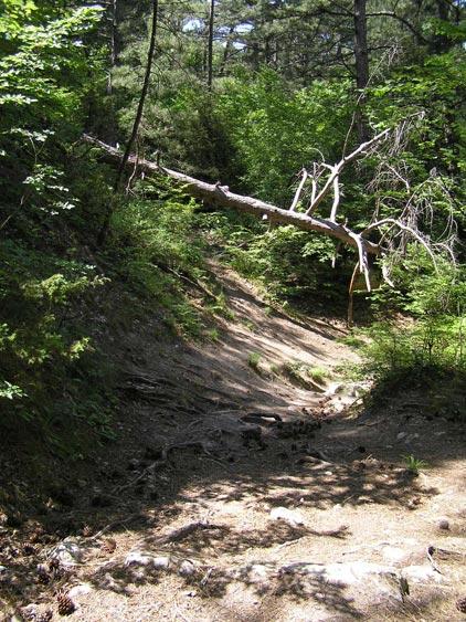 Волшебники всех стран, СТРОЙСЯ!  :)