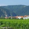виды Австрии виноградники