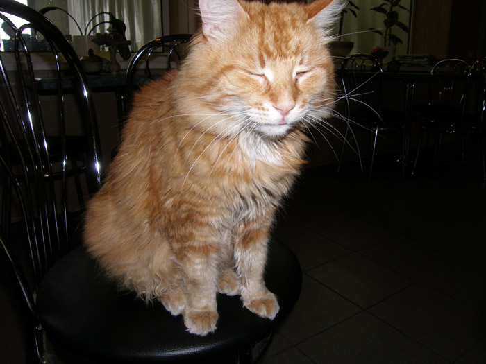 прищурился немного от вспышки