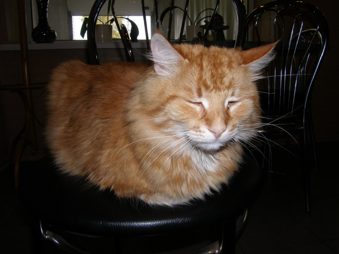 почти спит :)