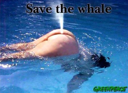 Мои девочки