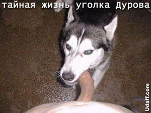 Хохма R@st@m@n@