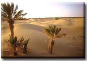 my mother land morocco