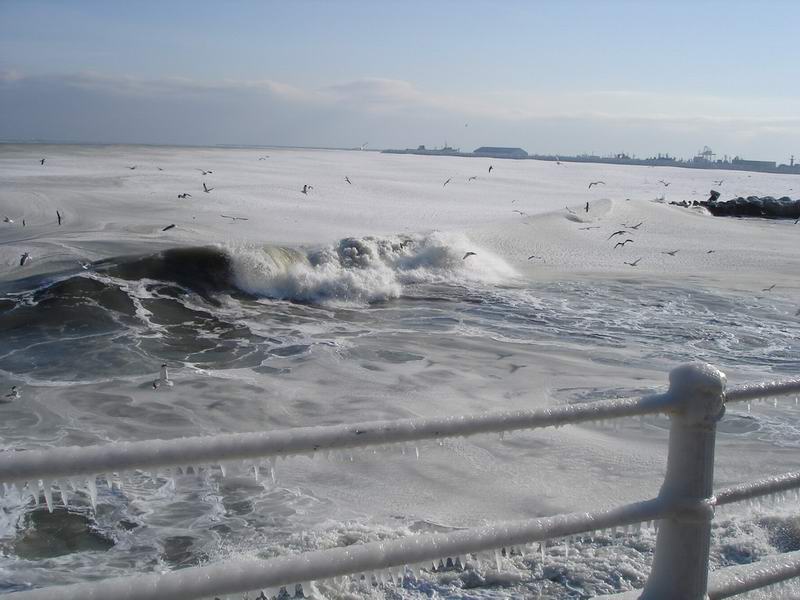 Море зимой замерзает