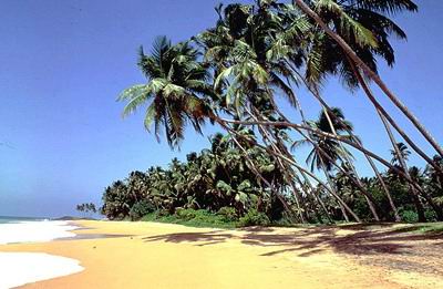 Потерянный Рай (Шри-Ланка)