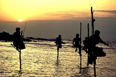Потерянный Рай (Шри-Ланка) Рыбаки