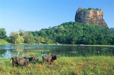 Потерянный Рай (Шри-Ланка) У подножия Сигирии