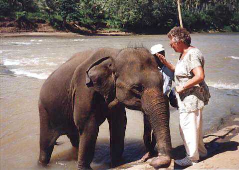 Потерянный Рай (Шри-Ланка) Слонята - они как дети