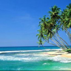 Потерянный Рай (Шри-Ланка)  Берег Прилив