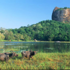 Потерянный Рай (Шри-Ланка) У подножия Сигирии