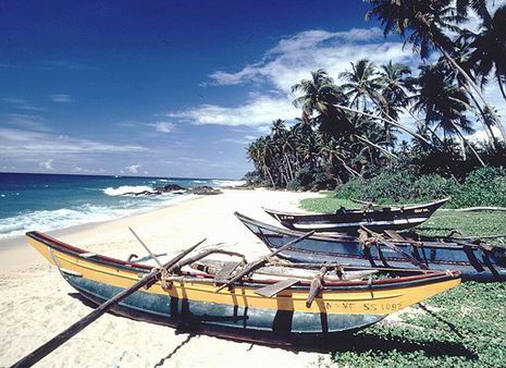 И снова Шри-Ланка Рыбачьи лодки