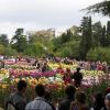 Никитский Ботанический сад (Ялта)