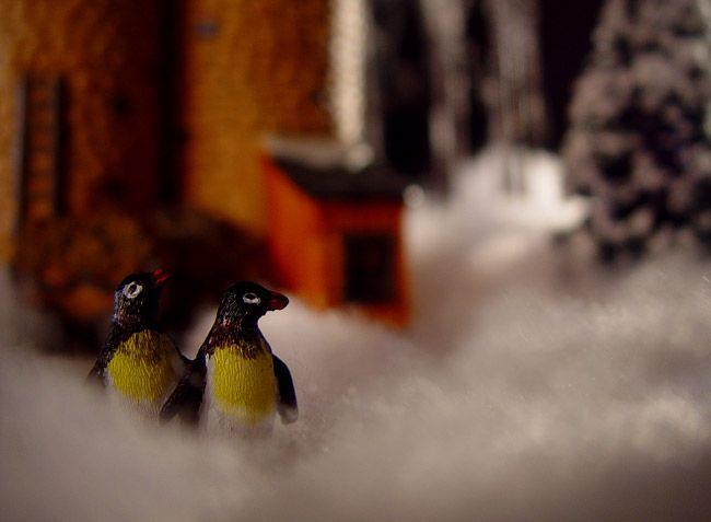 Пингвины-вандалы