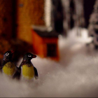 Пингвины-вандалы