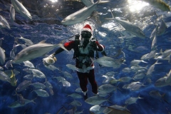 Рождественские фотографии — Санта-Клаус под водой, Шанхай, Китай