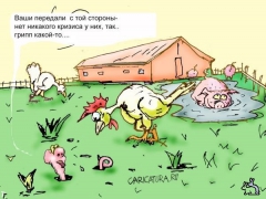Свинячий грипп в карикатурах