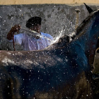 Уругвайский гаучо моет лошадь на родео в Монтевидео, Уругвай
