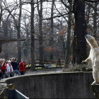 Белый медведь Кнут всегда окружен толпой зрителей в зоопарке Берлина