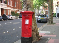 Ой, какая жуть! – британский платан медленно ест почтовый ящик в Западном Кенсингтоне, Лондон