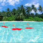 Самые красивые места мира. Мальдивские острова