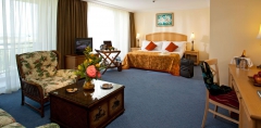 IC HOTELS GREEN PALACE Junior Suite